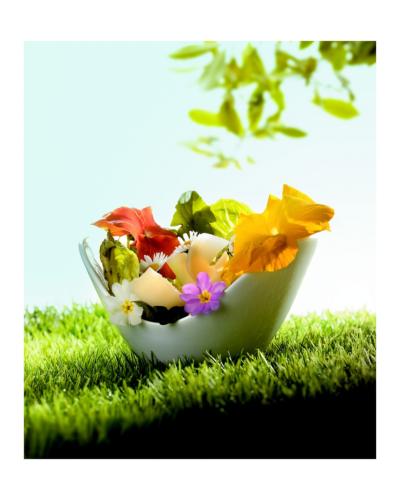 Salade des Alpages